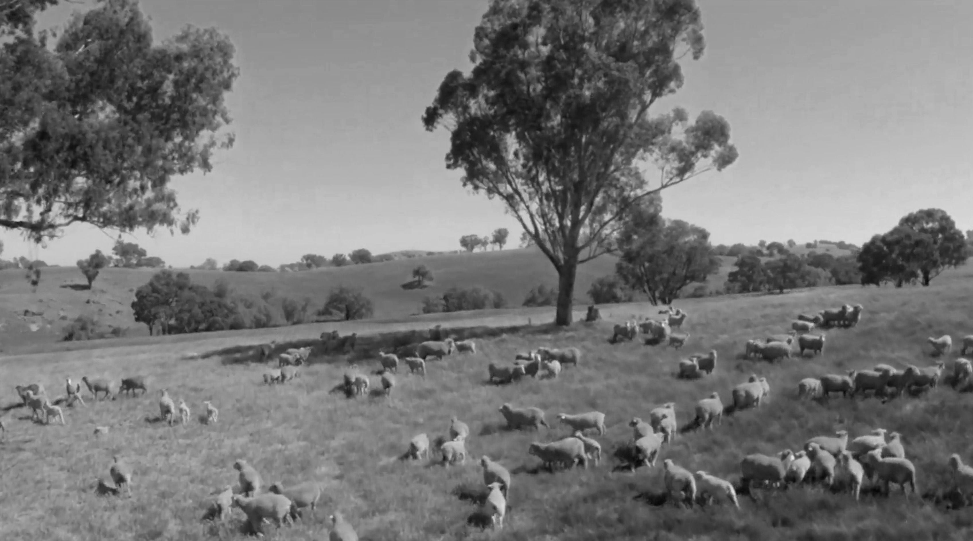 Massanzug Maßkonfektion Berlin