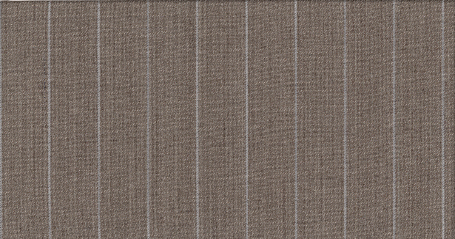 LIGHT STRIPE IMAGE SUITING