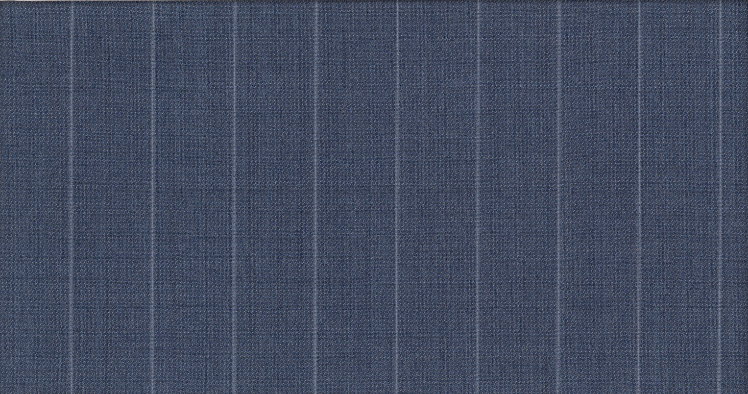 BLUE LIGHT STRIPE IMAGE SUITING