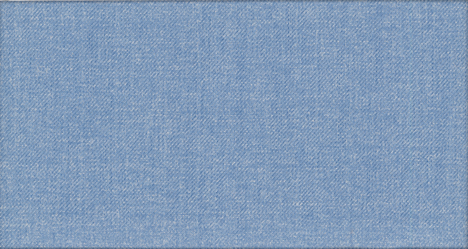 BLUE LIGHT PLAIN NOBILITY SUITING