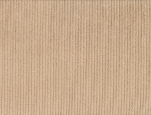 BROWN LIGHT PLAIN CASHMERE CORD AND CASH COTTON SUITING