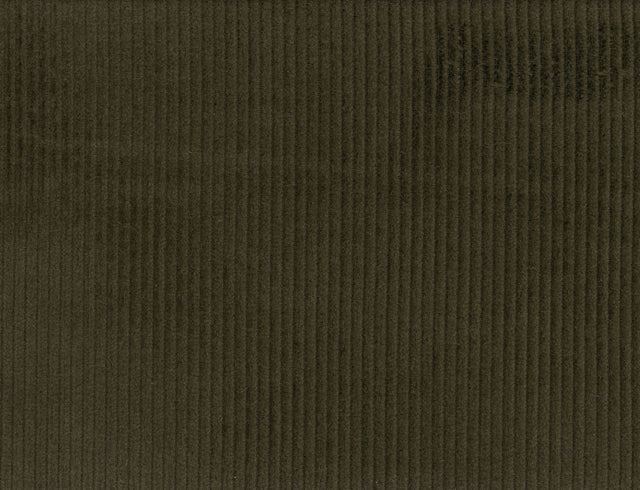 DARK PLAIN CASHMERE CORD AND CASH COTTON SUITING